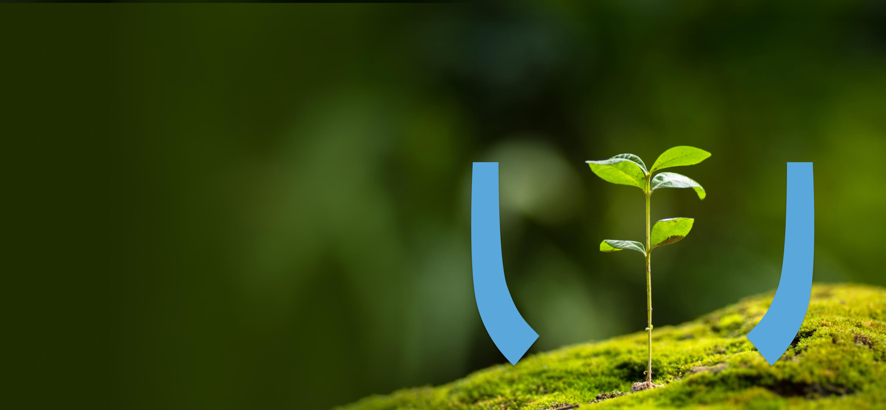 sustainable_banner